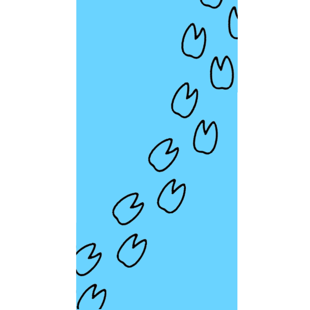 Camel Toe Classic Towel