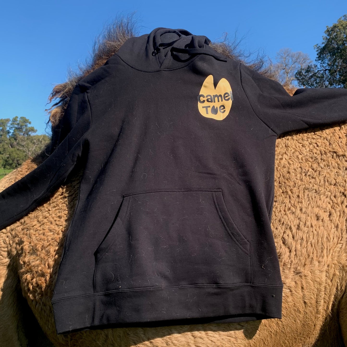 Camel Toe Classic Hoodie