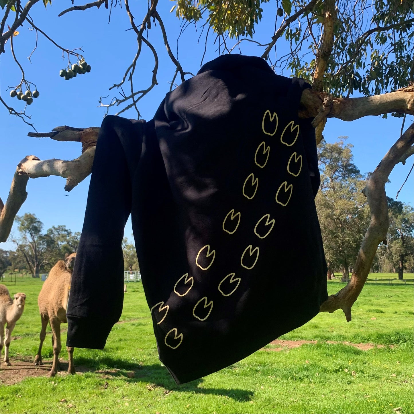 Camel Toe Classic Hoodie